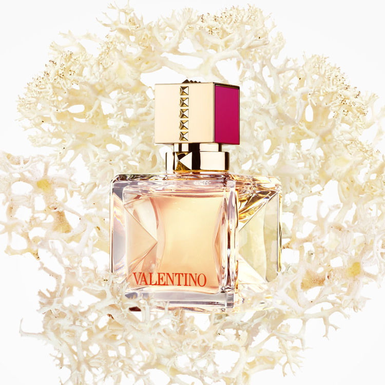 notas valentino