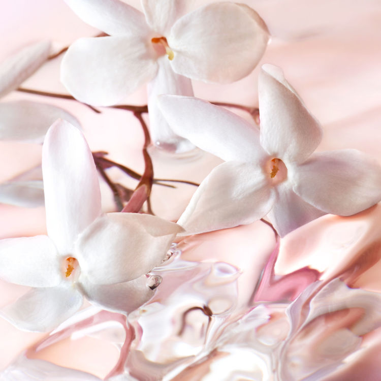 Imagen de Lancôme Idôle Perfume de Mujer  L'eau De Toilette 25 ml