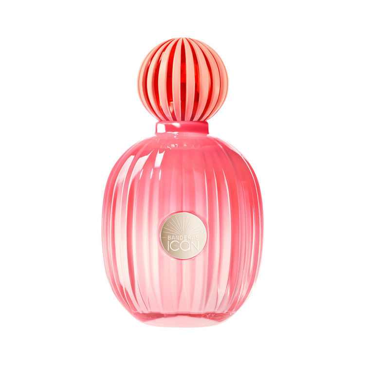 Imagen de Banderas The Icon Splendid Perfume Mujer 100 ml