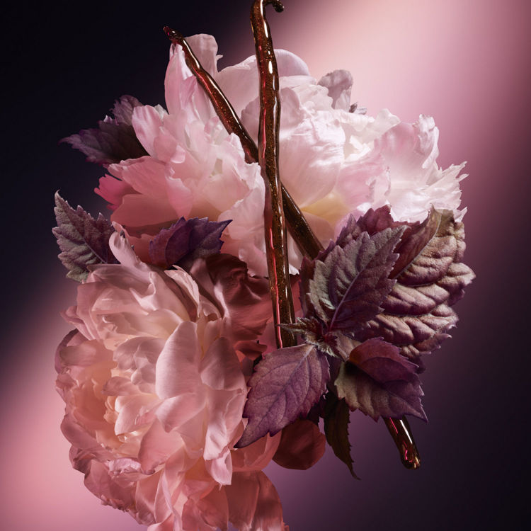 Imagen de Carolina Herrera Good Girl Blush Perfume de Mujer 50 ml