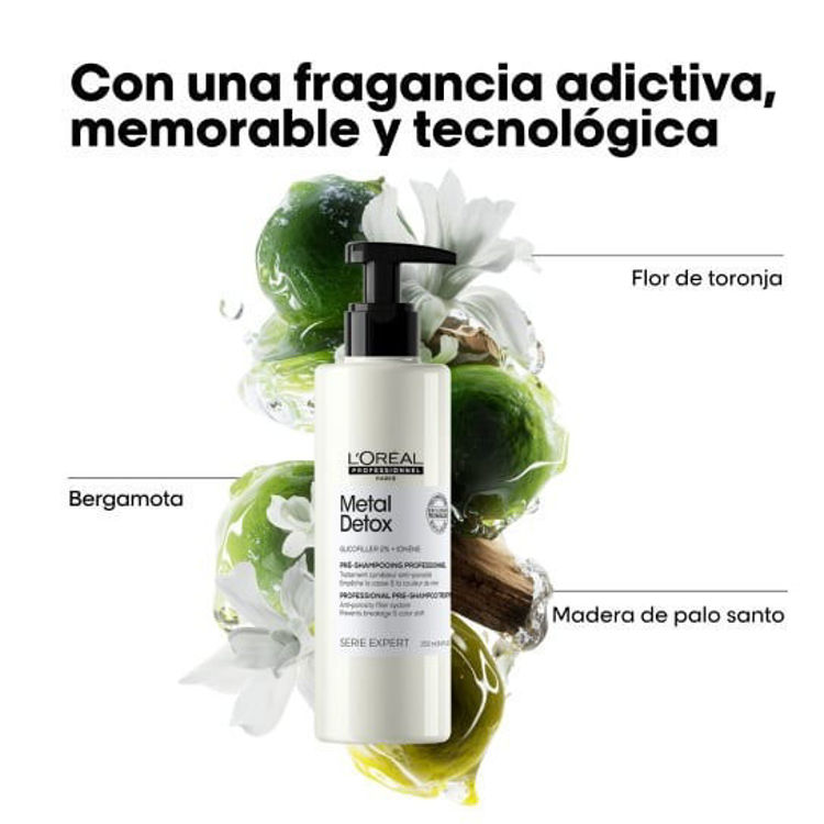 Imagen de L'Oreál Professionnel Expert Metal Detox Tratamiento Pre  Shampoo 250 ml