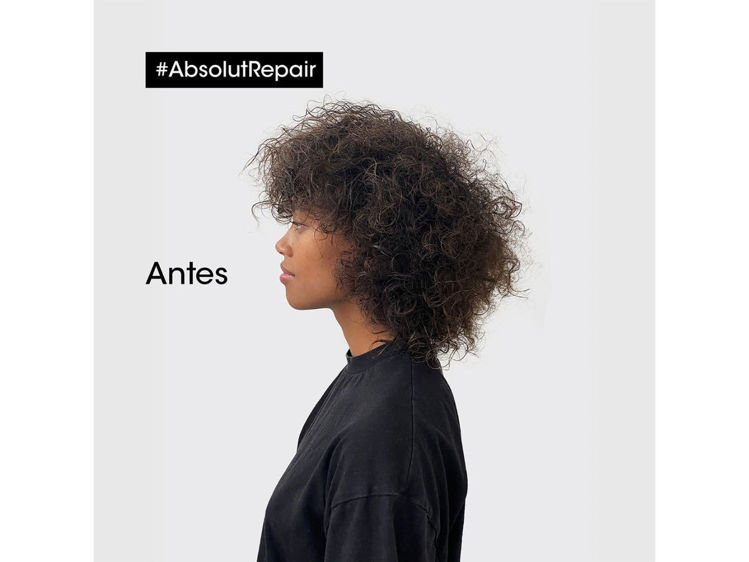 Imagen de L'Oréal Professionnel Serie Expert Absolut Repair Golden Máscara 250 ml