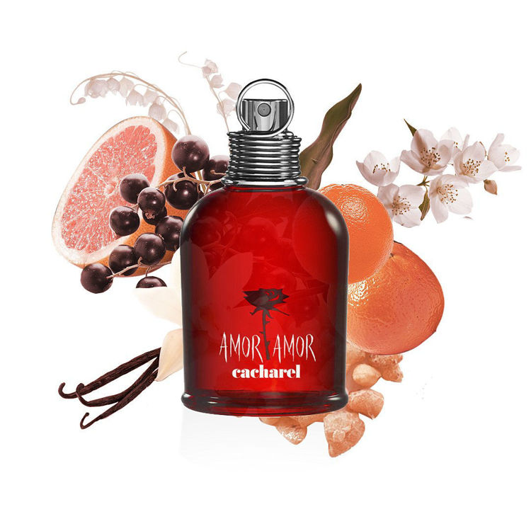 amor amor 100ml