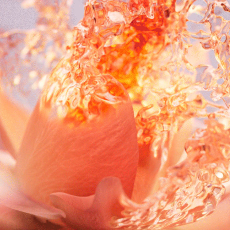 Imagen de Lancôme Idôle  Now  Perfume de Mujer 25 ml