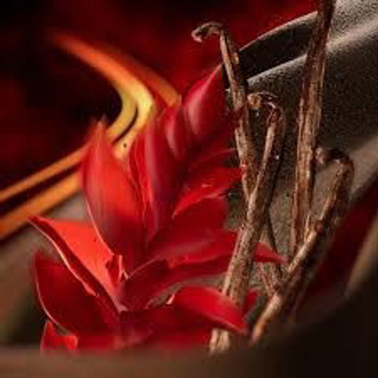 Imagen de Polo Red  Eau de Parfum Extreme 125 ml -- perfume de hombre